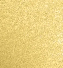 Khaite - x Oliver Peoples 1984C in Gold and Grey - Image 10