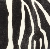 Khaite - Audrey Clutch in Zebra Print Haircalf - Image 10