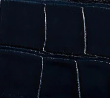Khaite - Audrey Top Handle Bag in Midnight Alligator - Image 12