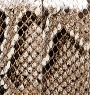 Khaite - Blake Crossbody Bag in Natural Python - Image 6