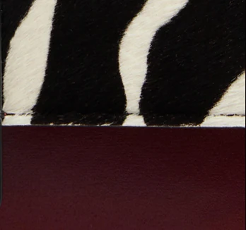 Khaite - Blake Crossbody Bag in Zebra Print Haircalf and Oxblood Leather - Image 12