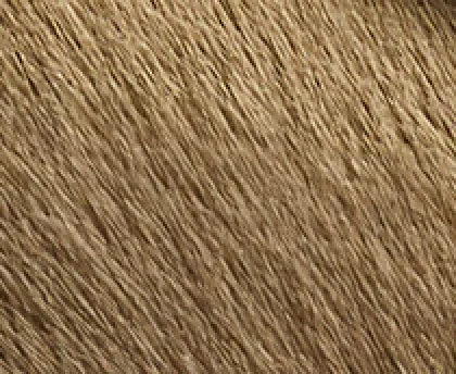 Khaite - Britt Clog in Barley Haircalf - Image 10