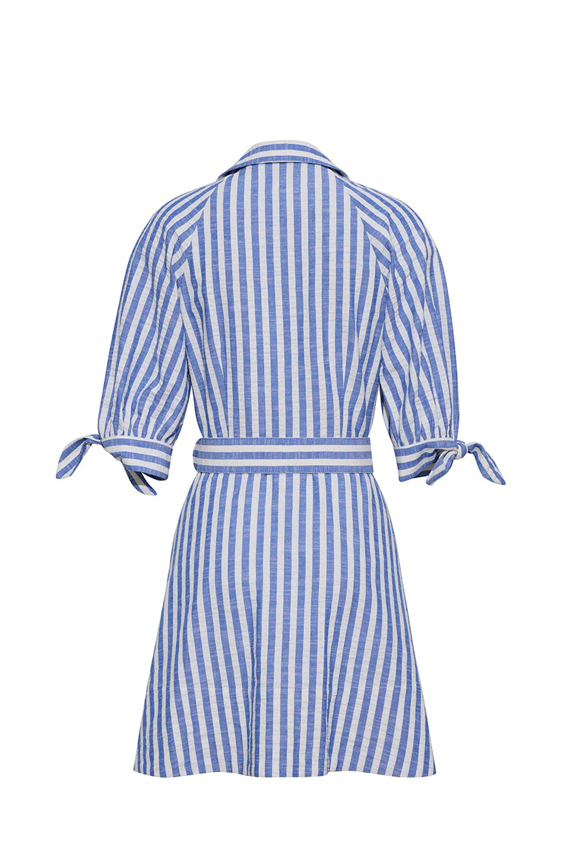Cara Cara - Caro Mini Dress - Image 2