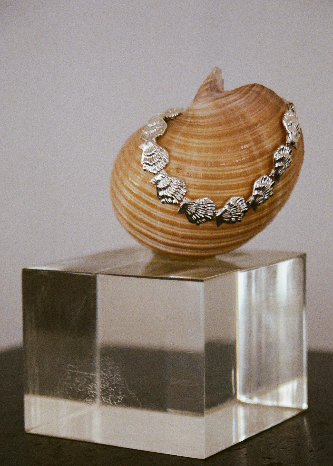 Kinn - Eternity Shell Bracelet Silver - Image 3