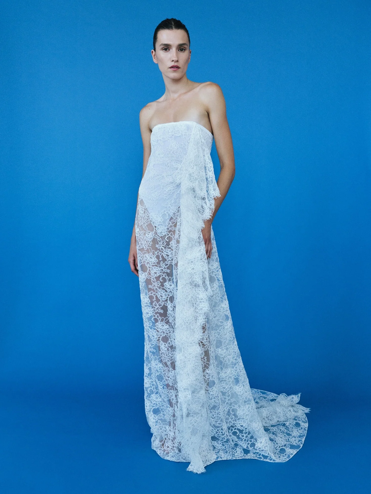 Christopher Esber - Floating Lace Strapless Gown