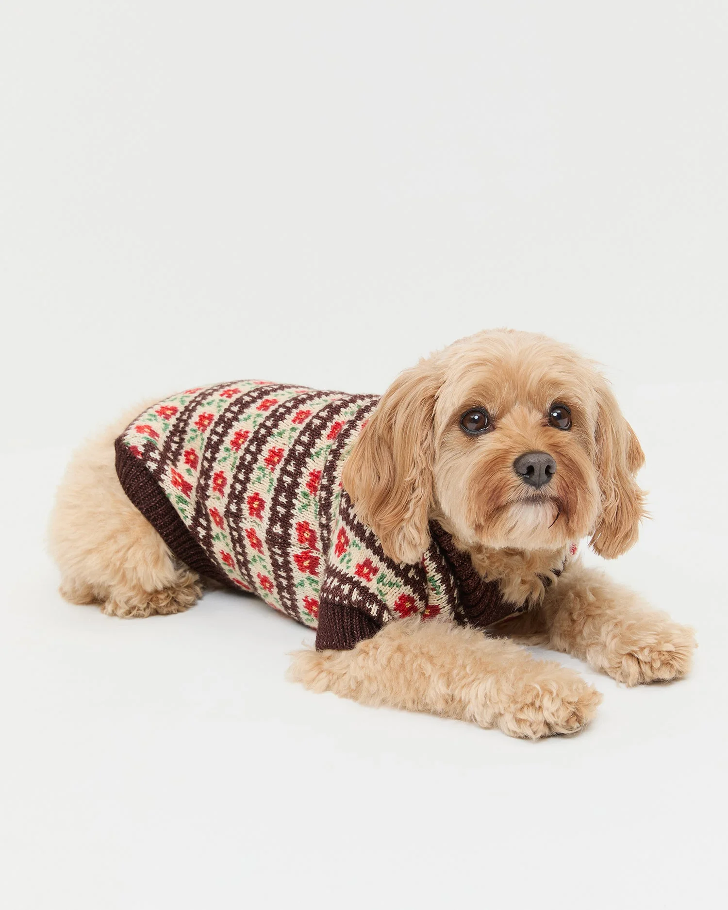 Loeffler Randall - Intarsia Dog Sweater - Image 3