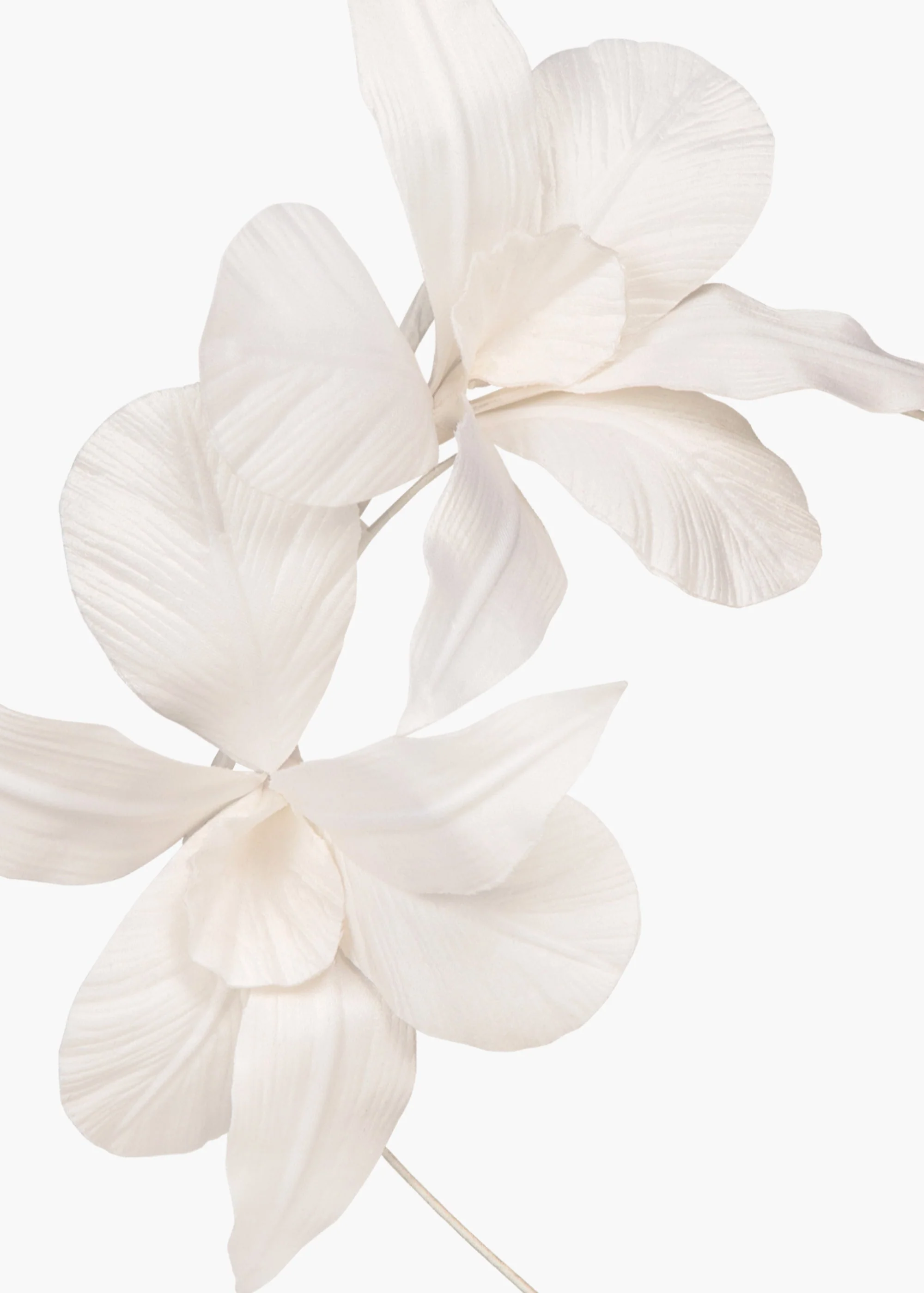 Jennifer Behr - Orchid Vine Headband - Image 6
