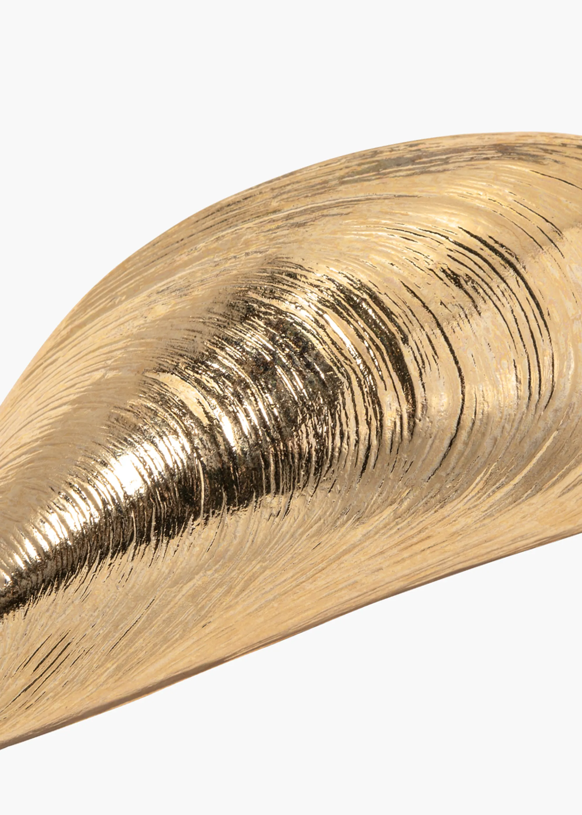 Jennifer Behr - Wade Barrette - Image 4