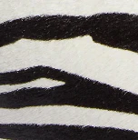 Khaite - Kasia Tote in Black Leather with Zebra Print Haircalf - Image 6