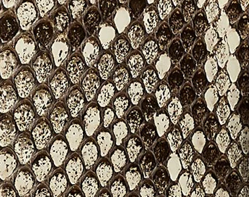 Khaite - Blake Clutch in Natural Python - Image 6