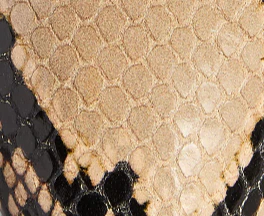 Khaite - Jett D'Orsay Pump in Python - Embossed Taupe - Image 5