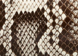 Khaite - Marlow Mule in Natural Python - Image 6