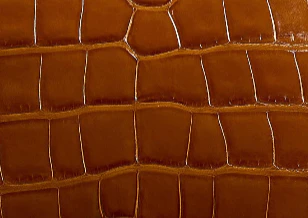 Khaite - Miles Loafer in Dark Honey Alligator - Image 5