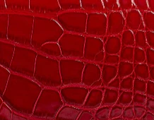 Khaite - Miles Loafer in Ruby Alligator - Image 5