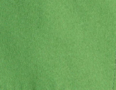 Khaite - Rohe Short in Absinthe - Image 7