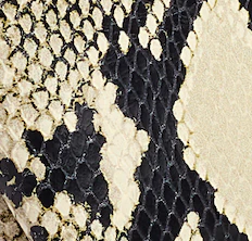 Khaite - Lina Keychain Pouch in Natural Python - Embossed Leather - Image 5