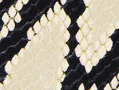 Khaite - Loop Flat Sandal in Natural Python - Embossed Leather - Image 5