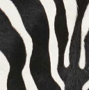 Khaite - Loxley Skirt in Zebra Print Haircalf - Image 16