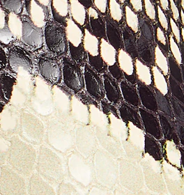 Khaite - Ona Ankle Boot in Natural Python - Embossed Leather - Image 6