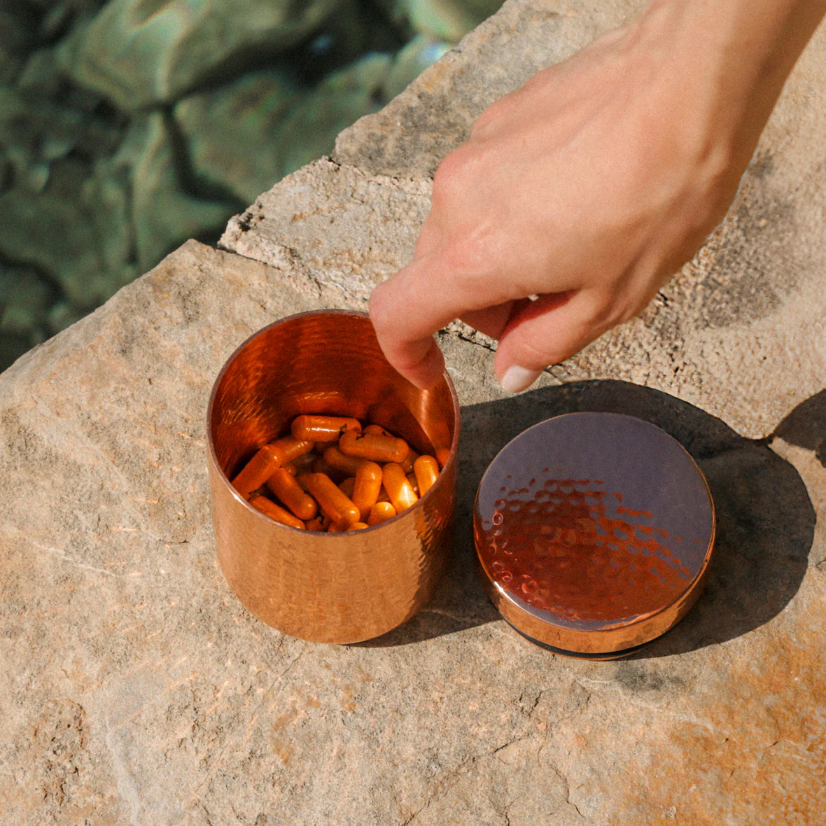 Lyma - The LYMA Supplement - Image 23