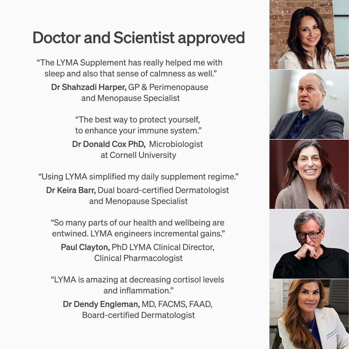 Lyma - The LYMA Supplement - Image 34