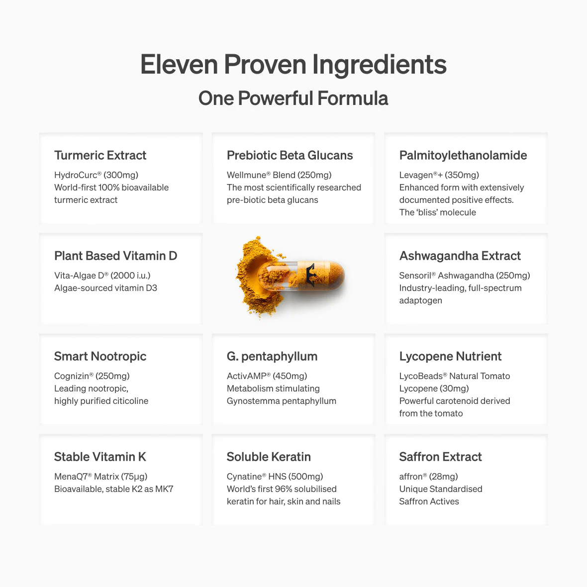 Lyma - The LYMA Supplement - Image 5