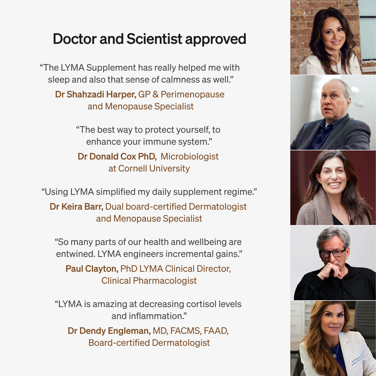 Lyma - The LYMA Supplement Limited Edition - Image 16